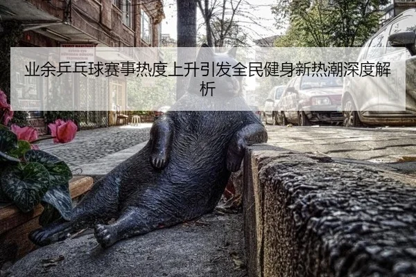 业余乒乓球赛事热度上升引发全民健身新热潮深度解析