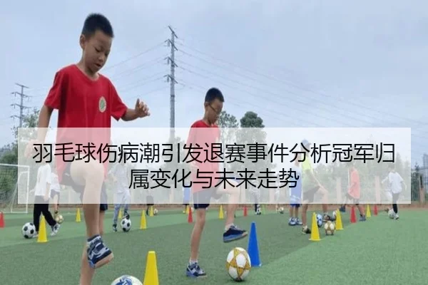 yu-mao-qiu-shang-bing-chao-yin-fa-tui-sai-shi-jian-fen-xi-guan-jun-gui-shu-bian-hua-yu-wei-lai-zou-shi-2-336.jpg